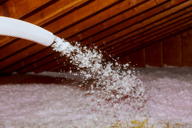 Best Insulation Removal  in Westmere, NY