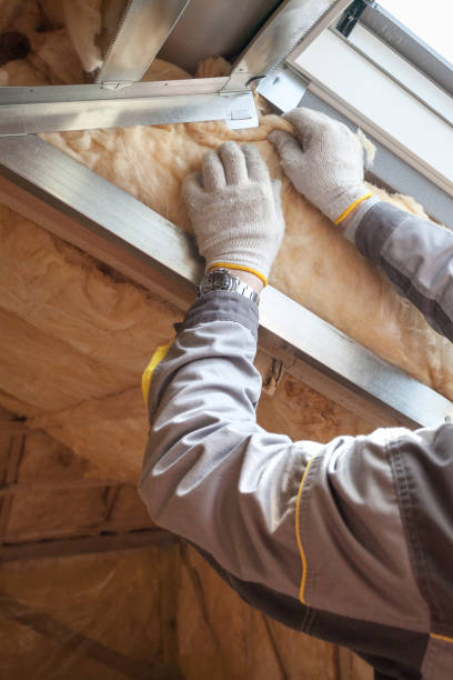 Best Wall Insulation Contractor  in Westmere, NY