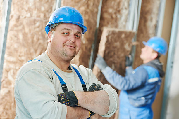 Best Insulation Replacement Services  in Westmere, NY